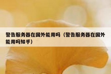 警告服务器在国外能用吗（警告服务器在国外能用吗知乎）