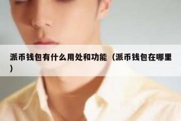 派币钱包有什么用处和功能（派币钱包在哪里）