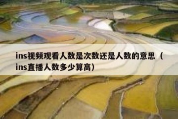 ins视频观看人数是次数还是人数的意思（ins直播人数多少算高）