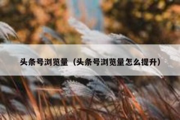头条号浏览量（头条号浏览量怎么提升）