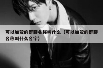 可以加赞的群聊名称叫什么（可以加赞的群聊名称叫什么名字）