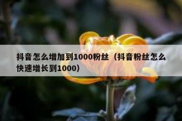 抖音怎么增加到1000粉丝（抖音粉丝怎么快速增长到1000）