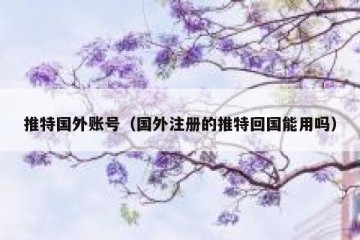 推特国外账号（国外注册的推特回国能用吗）
