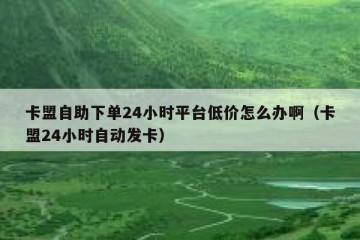 卡盟自助下单24小时平台低价怎么办啊（卡盟24小时自动发卡）