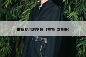 推特专用浏览器（推特 浏览器）