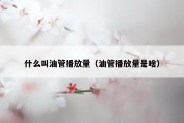 什么叫油管播放量（油管播放量是啥）