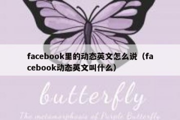 facebook里的动态英文怎么说（facebook动态英文叫什么）