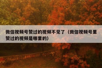 微信视频号赞过的视频不见了（微信视频号里赞过的视频是哪里的）