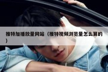 推特加播放量网站（推特视频浏览量怎么算的）
