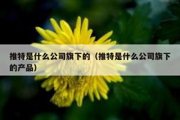 推特是什么公司旗下的（推特是什么公司旗下的产品）