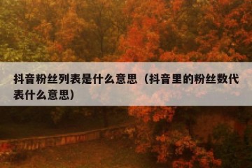 抖音粉丝列表是什么意思（抖音里的粉丝数代表什么意思）