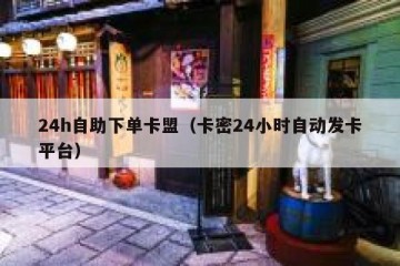 24h自助下单卡盟（卡密24小时自动发卡平台）