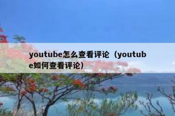 youtube怎么查看评论（youtube如何查看评论）