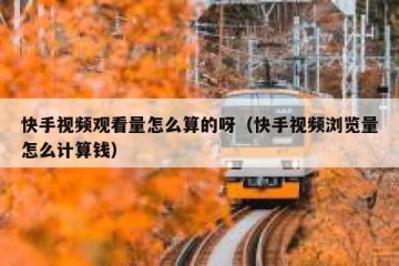 快手视频观看量怎么算的呀（快手视频浏览量怎么计算钱）