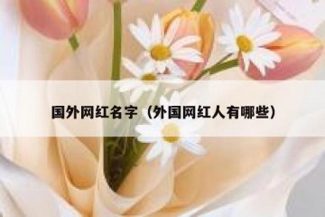 国外网红名字（外国网红人有哪些）