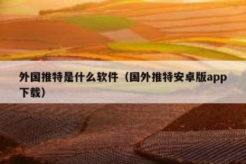 外国推特是什么软件（国外推特安卓版app下载）