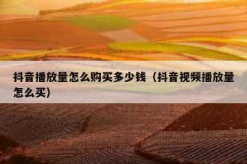 抖音播放量怎么购买多少钱（抖音视频播放量怎么买）