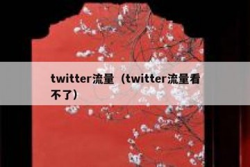 twitter流量（twitter流量看不了）