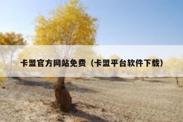 卡盟官方网站免费（卡盟平台软件下载）