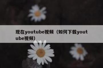 现在youtube视频（如何下载youtube视频）
