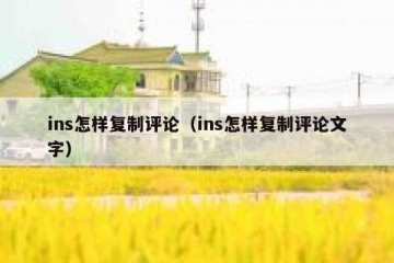ins怎样复制评论（ins怎样复制评论文字）