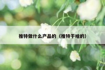 推特做什么产品的（推特干啥的）