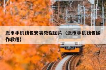 派币手机钱包安装教程图片（派币手机钱包操作教程）