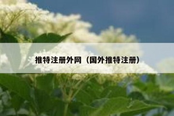 推特注册外网（国外推特注册）