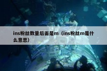 ins粉丝数量后面是m（ins粉丝m是什么意思）