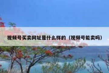 视频号买卖网址是什么样的（视频号能卖吗）