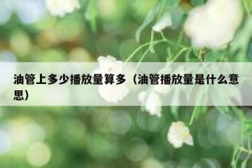 油管上多少播放量算多（油管播放量是什么意思）