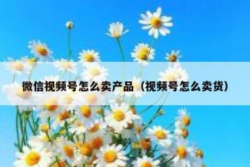 微信视频号怎么卖产品（视频号怎么卖货）