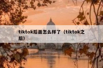 tiktok后面怎么样了（tiktok之后）