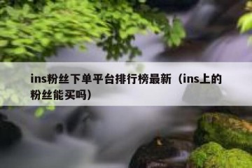 ins粉丝下单平台排行榜最新（ins上的粉丝能买吗）