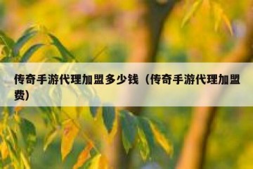 传奇手游代理加盟多少钱（传奇手游代理加盟费）