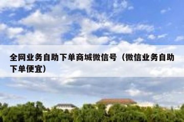 全网业务自助下单商城微信号（微信业务自助下单便宜）