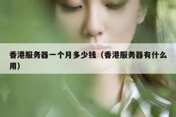 香港服务器一个月多少钱（香港服务器有什么用）