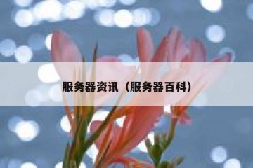 服务器资讯（服务器百科）