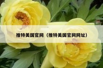 推特美国官网（推特美国官网网址）
