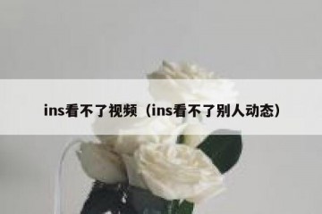 ins看不了视频（ins看不了别人动态）