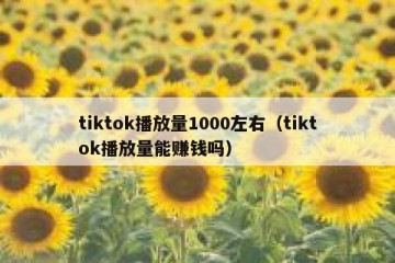 tiktok播放量1000左右（tiktok播放量能赚钱吗）