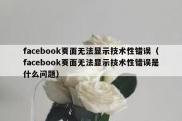 facebook页面无法显示技术性错误（facebook页面无法显示技术性错误是什么问题）