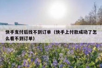 快手支付后找不到订单（快手上付款成功了怎么看不到订单）