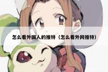 怎么看外国人的推特（怎么看外网推特）