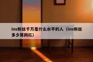 ins粉丝千万是什么水平的人（ins粉丝多少算网红）