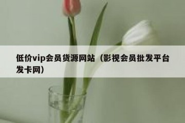 低价vip会员货源网站（影视会员批发平台发卡网）