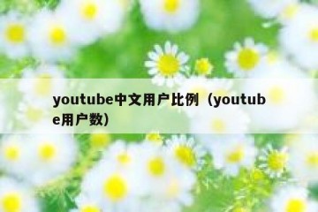 youtube中文用户比例（youtube用户数）