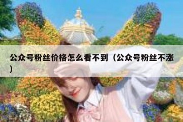 公众号粉丝价格怎么看不到（公众号粉丝不涨）