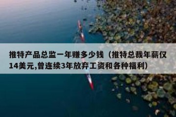 推特产品总监一年赚多少钱（推特总裁年薪仅14美元,曾连续3年放弃工资和各种福利）