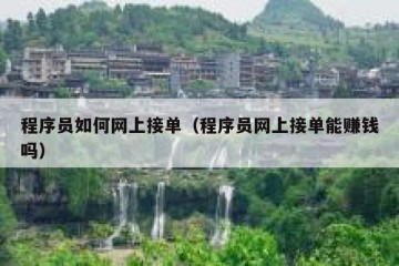 程序员如何网上接单（程序员网上接单能赚钱吗）